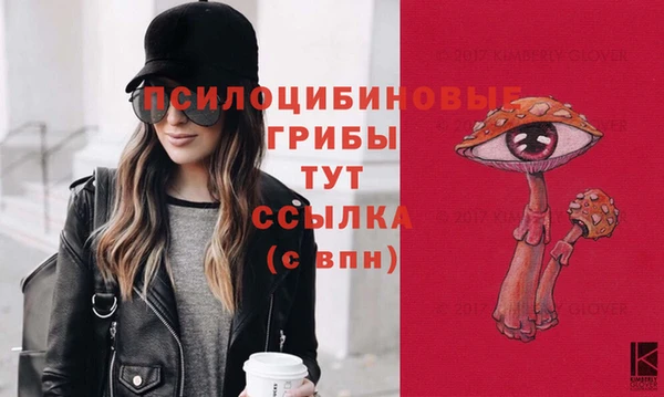шишки Тольятти
