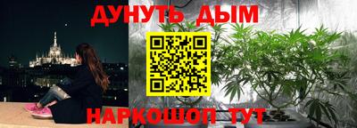 эйфоретик Майкоп