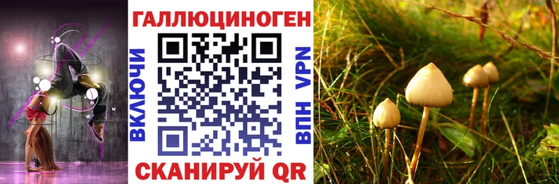 магазин  наркотиков  Дятьково  Псилоцибиновые грибы MAGIC MUSHROOMS 