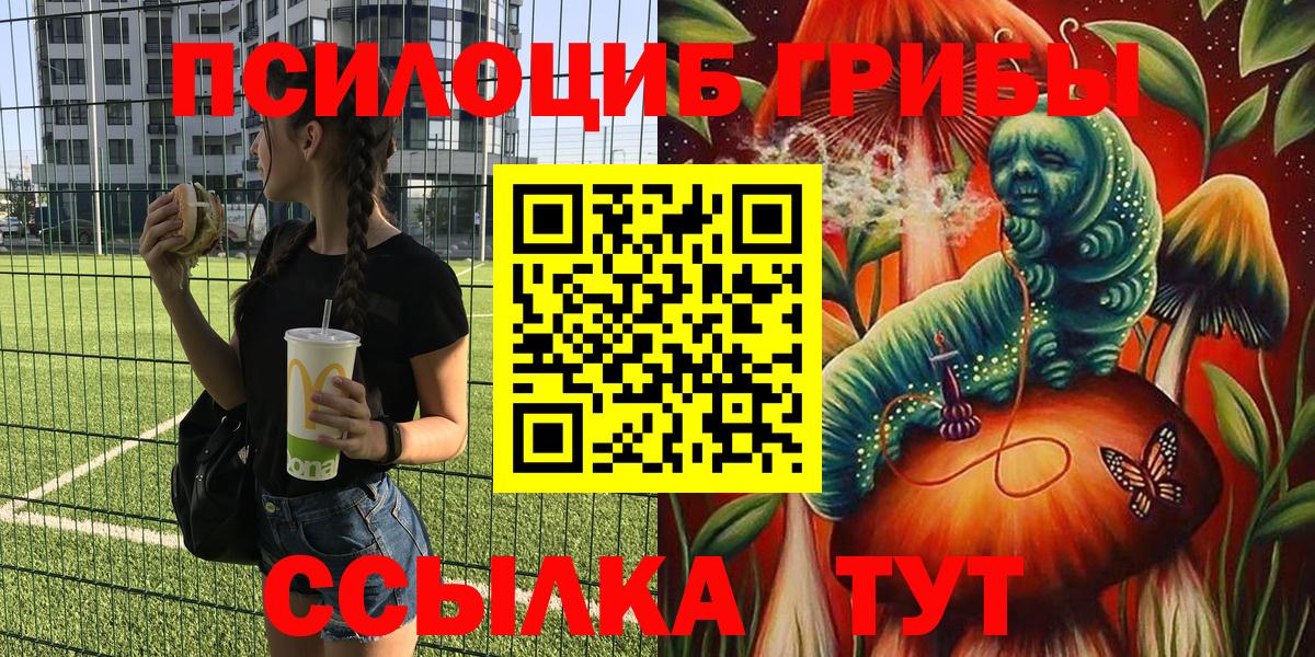 где можно купить   Галлюциногенные грибы Cubensis  Вход с VPN  Дятьково  Галлюциногенные грибы MAGIC MUSHROOMS 