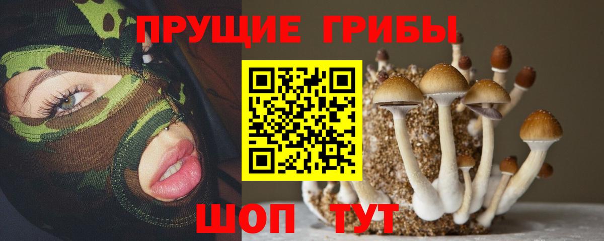 Псилоцибиновые грибы Magic Shrooms Дятьково